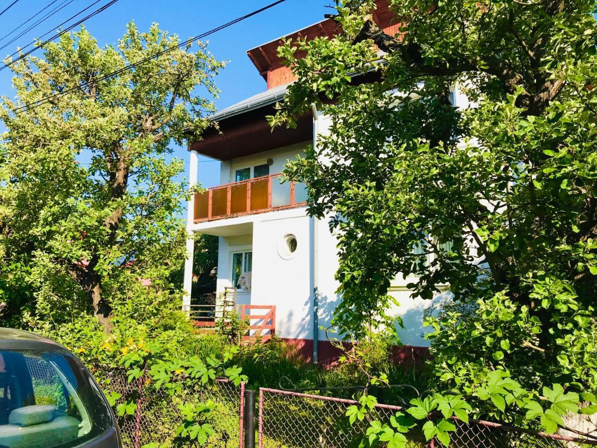 Apartament Vica Gura Humorului Exterior foto